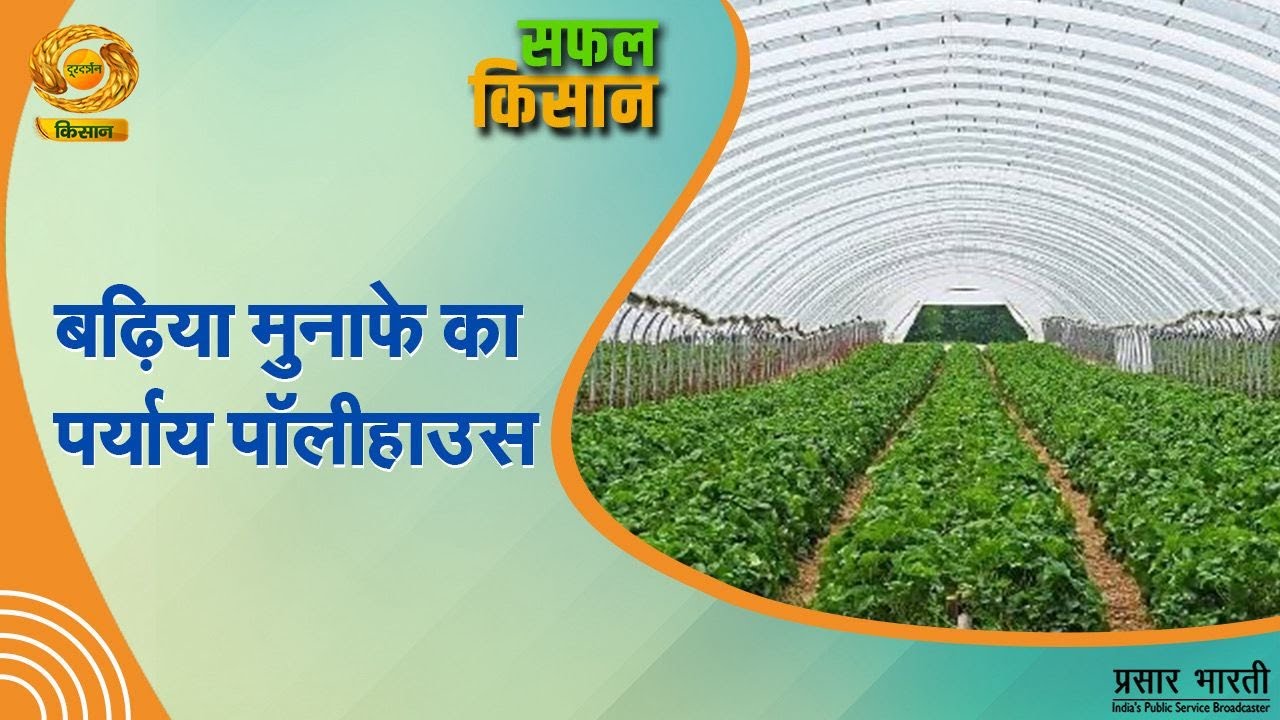 #Watch Safal Kisan | सफल किसान- बढ़िया मुनाफे का पर्याय पोलीहॉउस | DD Kisan | February 03, 2026