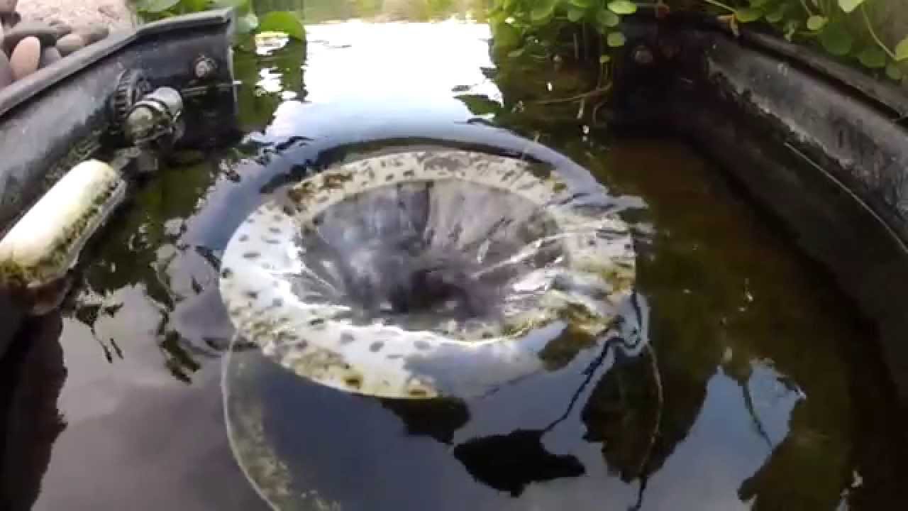 Helix Koi Pond, Before and After