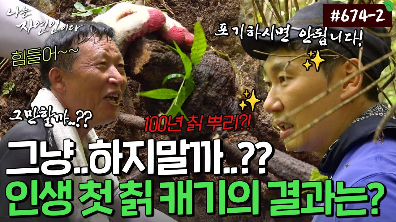누가 자연인이고 누가 MC인지 ㅋㅋㅋㅋ 생애 첫! 칡 캐기에 도전한 자연인｜자연인 다시보기 674-2