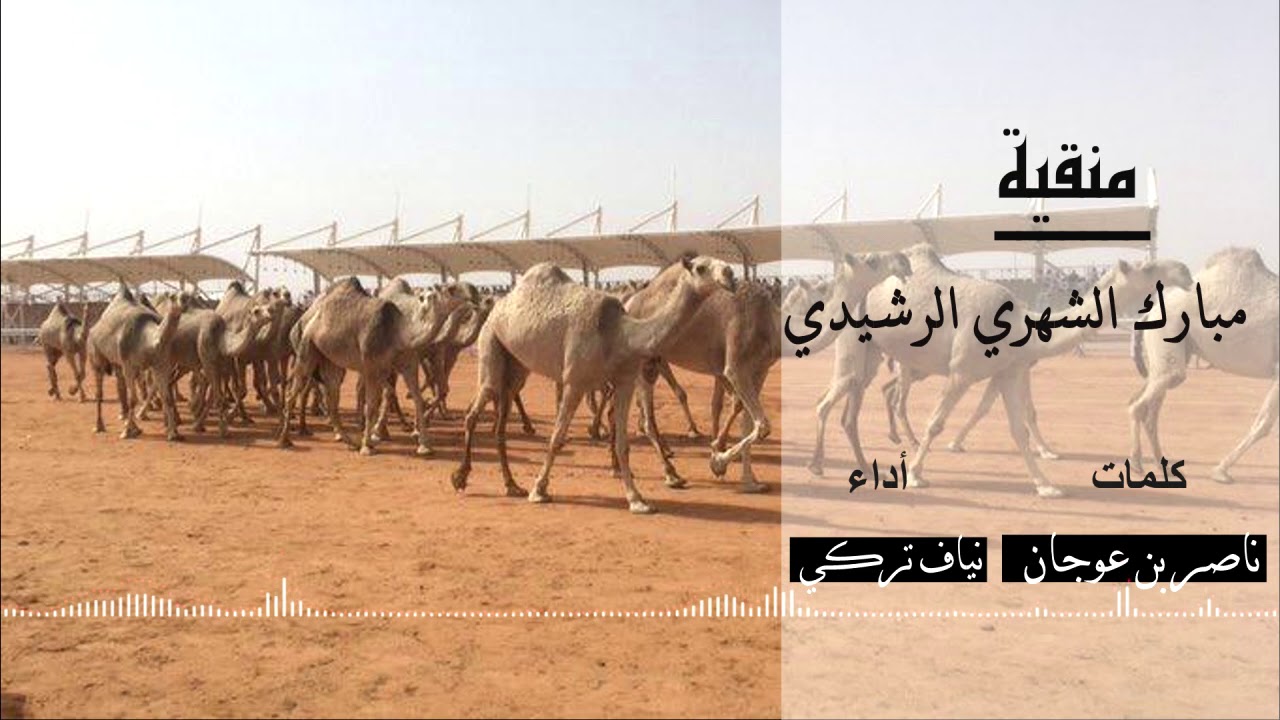 منقية / مبارك الشهري الرشيدي كلمات/ ناصر بن عوجان اداء/ نياف تركي