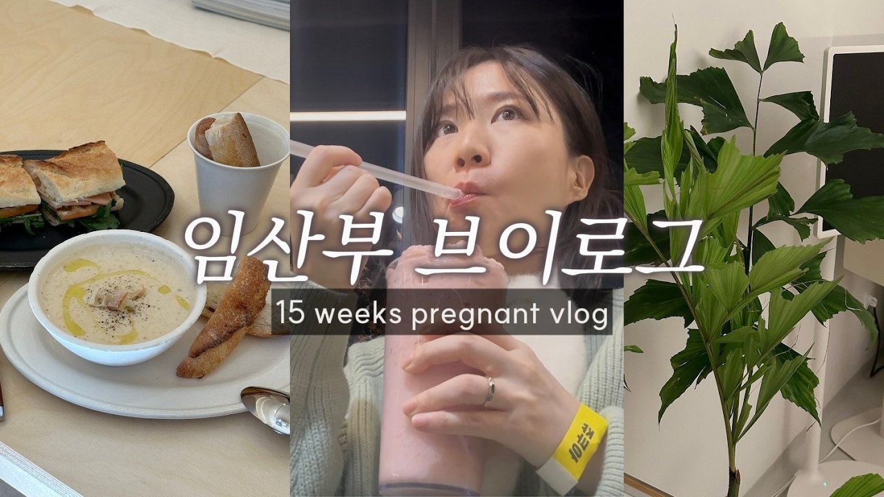 (vlog) 임신 15주차, 임산부는 어떻게 챙겨줘야해? 에대한 대답. 술없이 안주만 먹는게 가능했네.. ^^