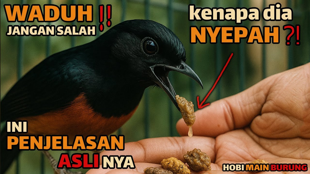Waspada! Banyak yang Salah Paham Soal Nyepah ! Ini Penjelasan Aslinya!