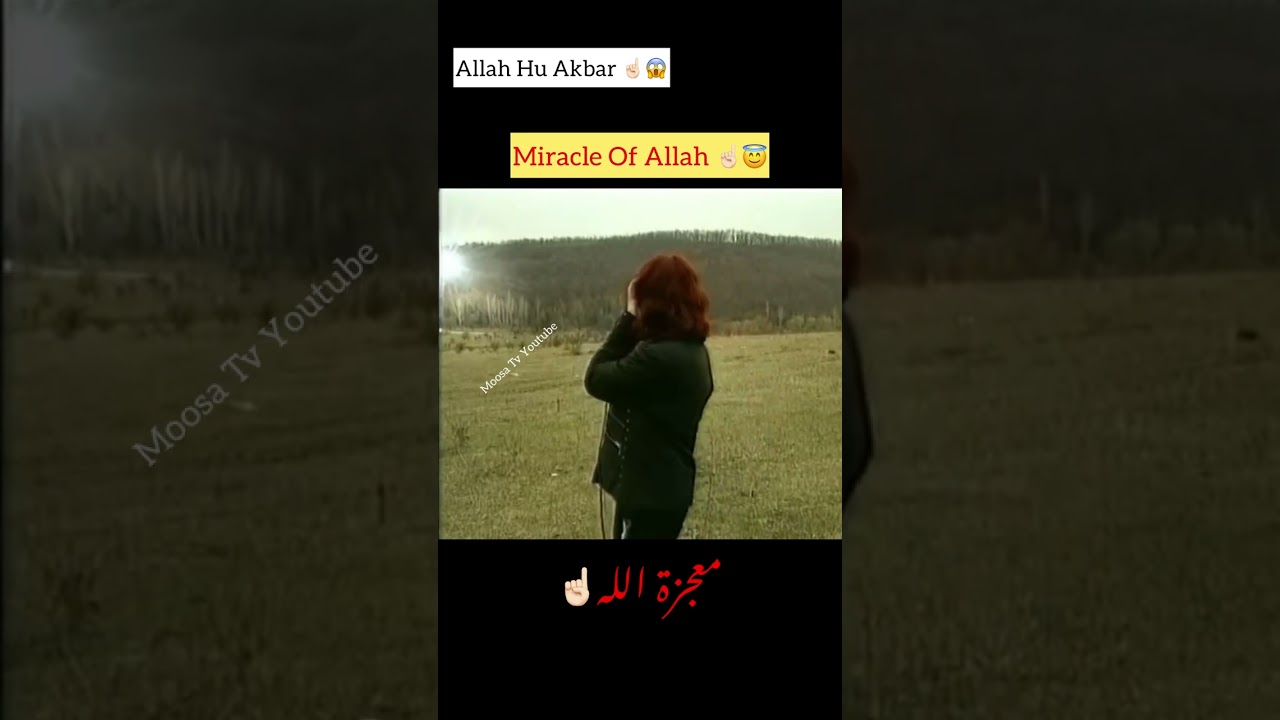 Miracle Of Allah ☝️😇 #shorts #status #short