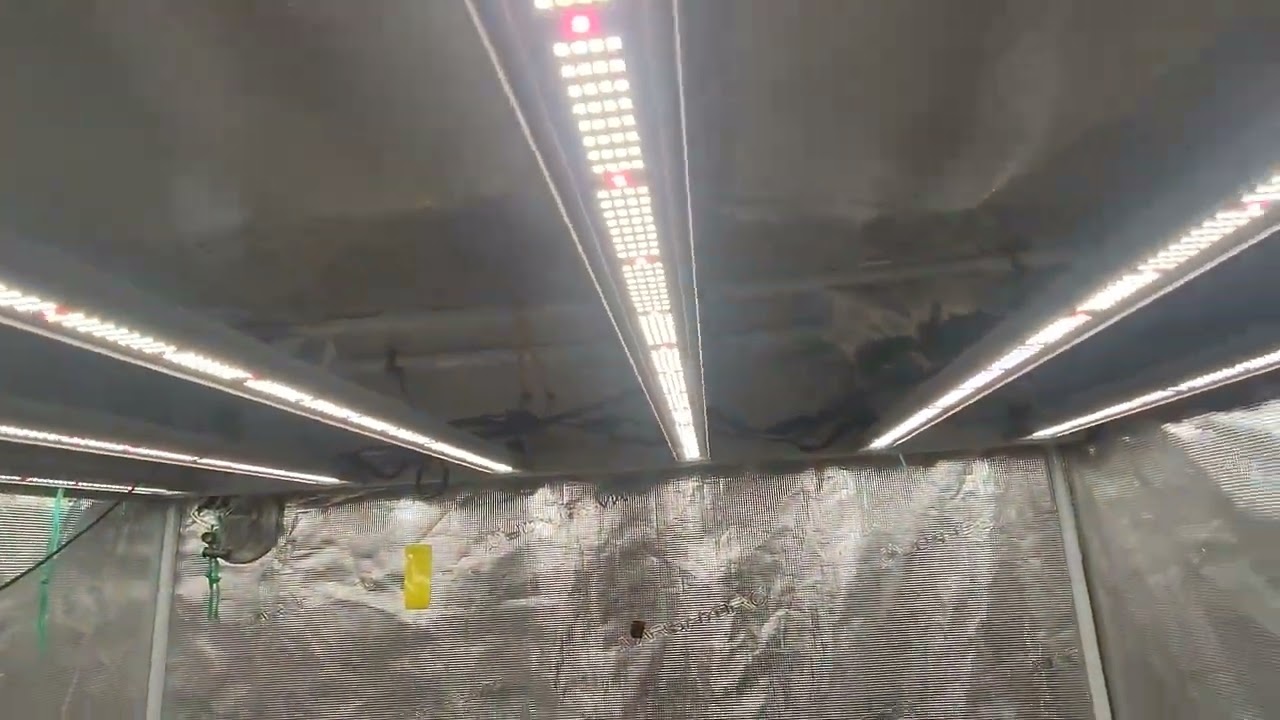 Mars-Hydro fce-6500
