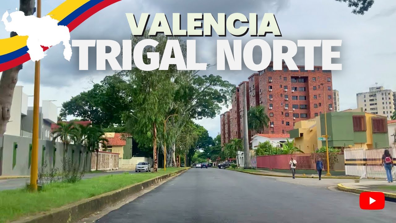 TRIGAL NORTE en Carro | Valencia querida #venezuela 🇻🇪