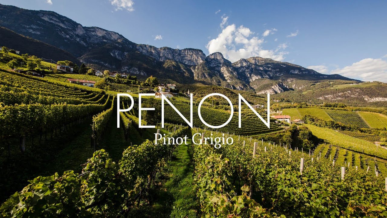 PENON - Pinot Grigio