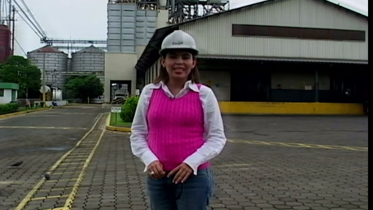 Éxito empresarial 