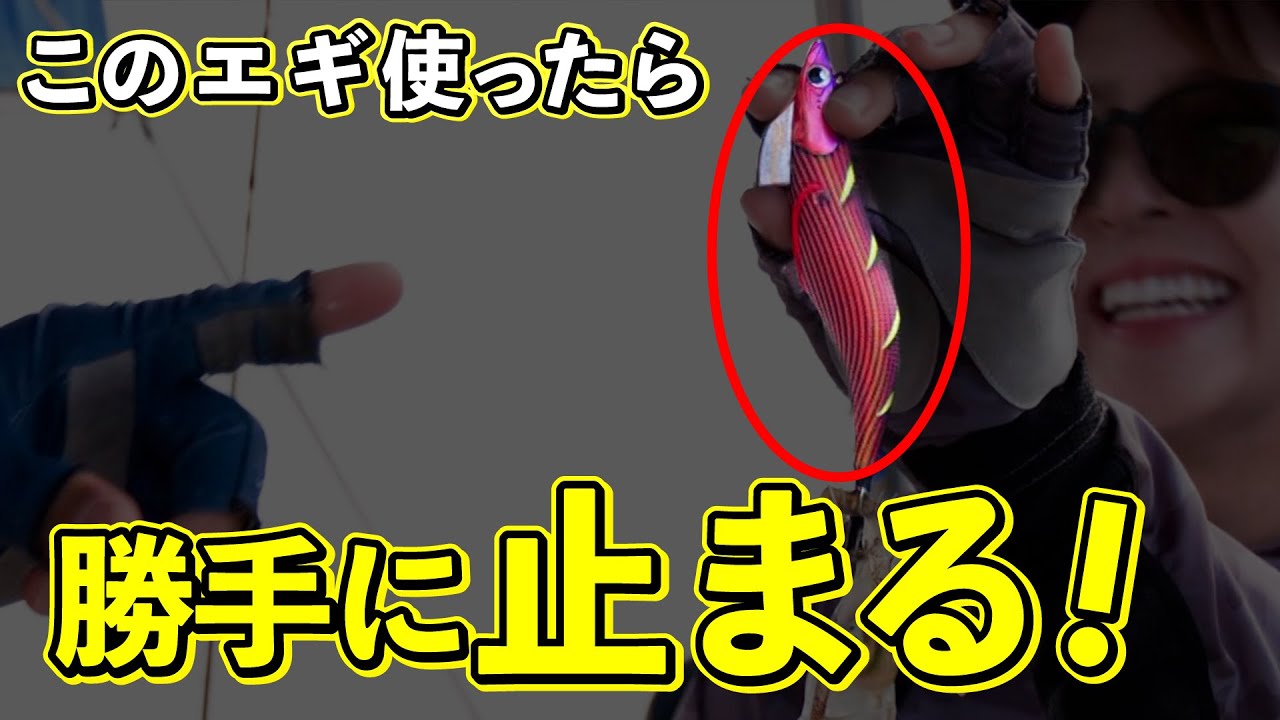 瀬戸内でティップランエギング　秋のアオリイカを釣りましょう！（四季の釣り/2025年10月10日放送）
