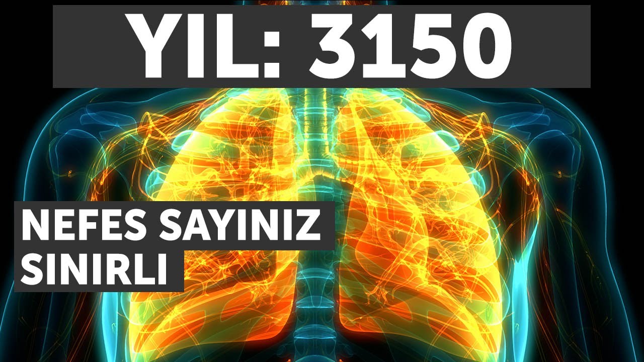 İnsanların Aldığı Nefes Sayısı Sınırlı Olsaydı Ne Olurdu?