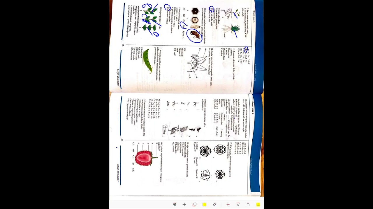 2026 Yeni Biologiya Rfm tipli sınaq 2#keşfet#education#kəsfet##biology#education #keşfetbeniöneçıkar