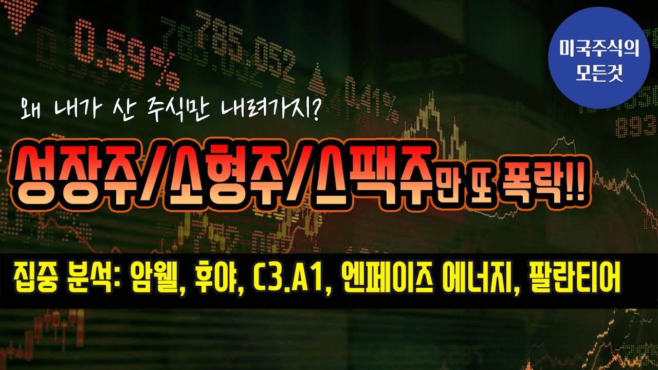 오늘의 주식 분석: 팔란티어 (PLTR), C3.AI, 암웰 (AMWL), 후야 (HUYA), 엔페이즈에너지(ENPH)