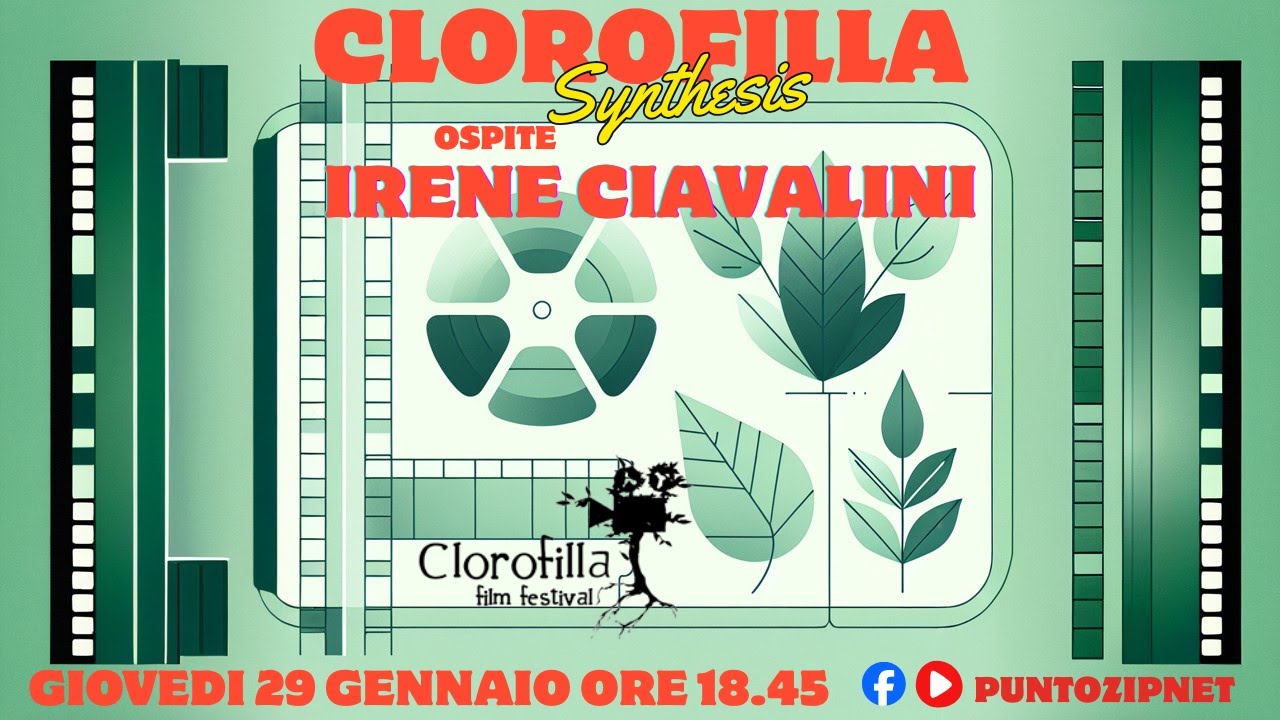 Clorofilla Synthesis #59