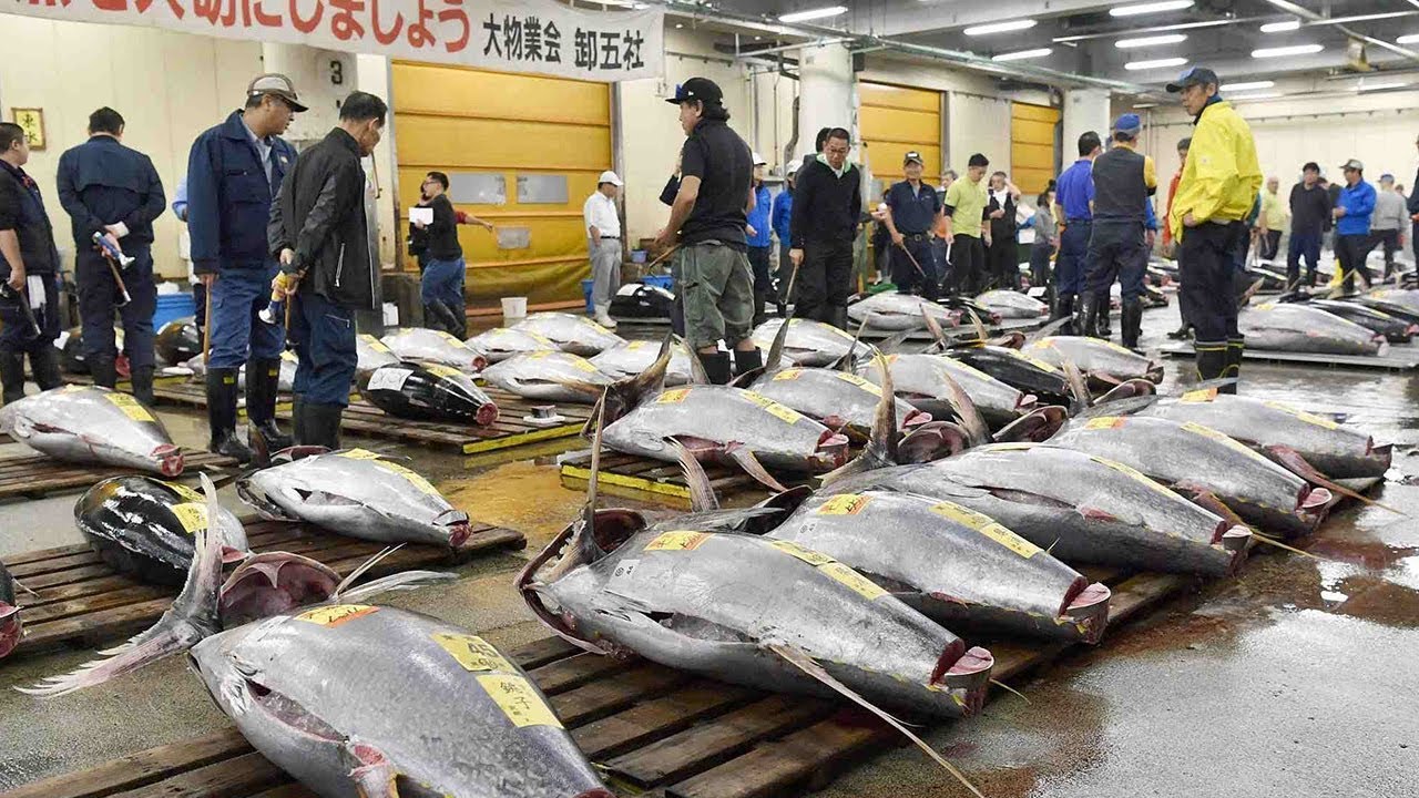 Tokyo's 83-year-old Tsukiji fish market holds last tuna auction before move