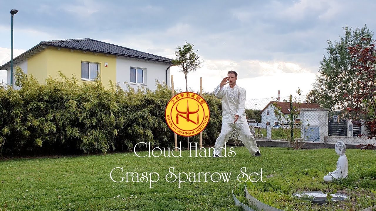 Cloud Hands Grasp Sparrow Set (2020)