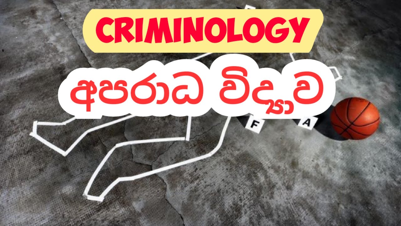අපරාධ විද්‍යාව criminology