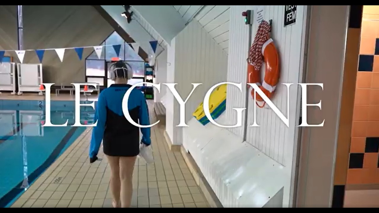 LE CYGNE