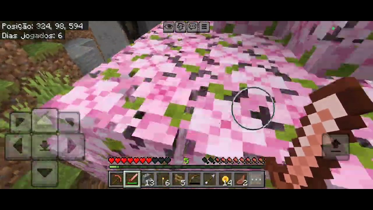 Segundo vídeo de Minecraft 