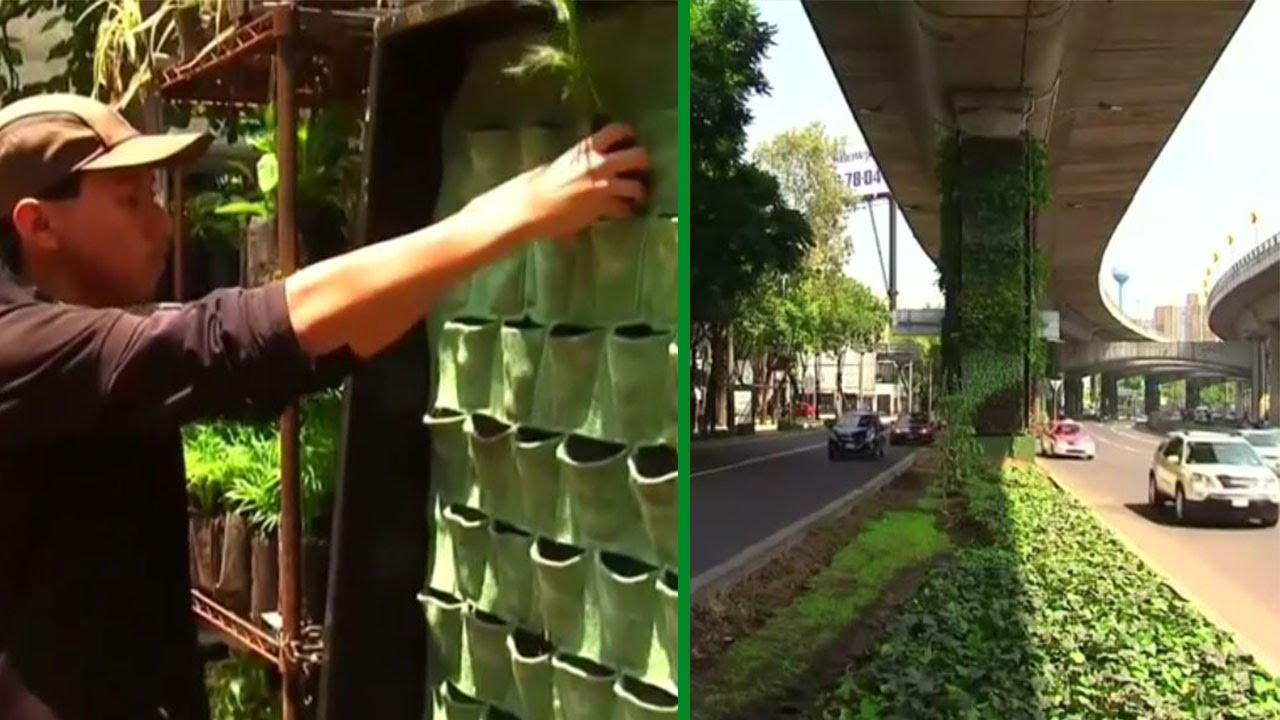 Citt&agrave; del Messico sensibilizza sull'ambiente con i giardini verticali