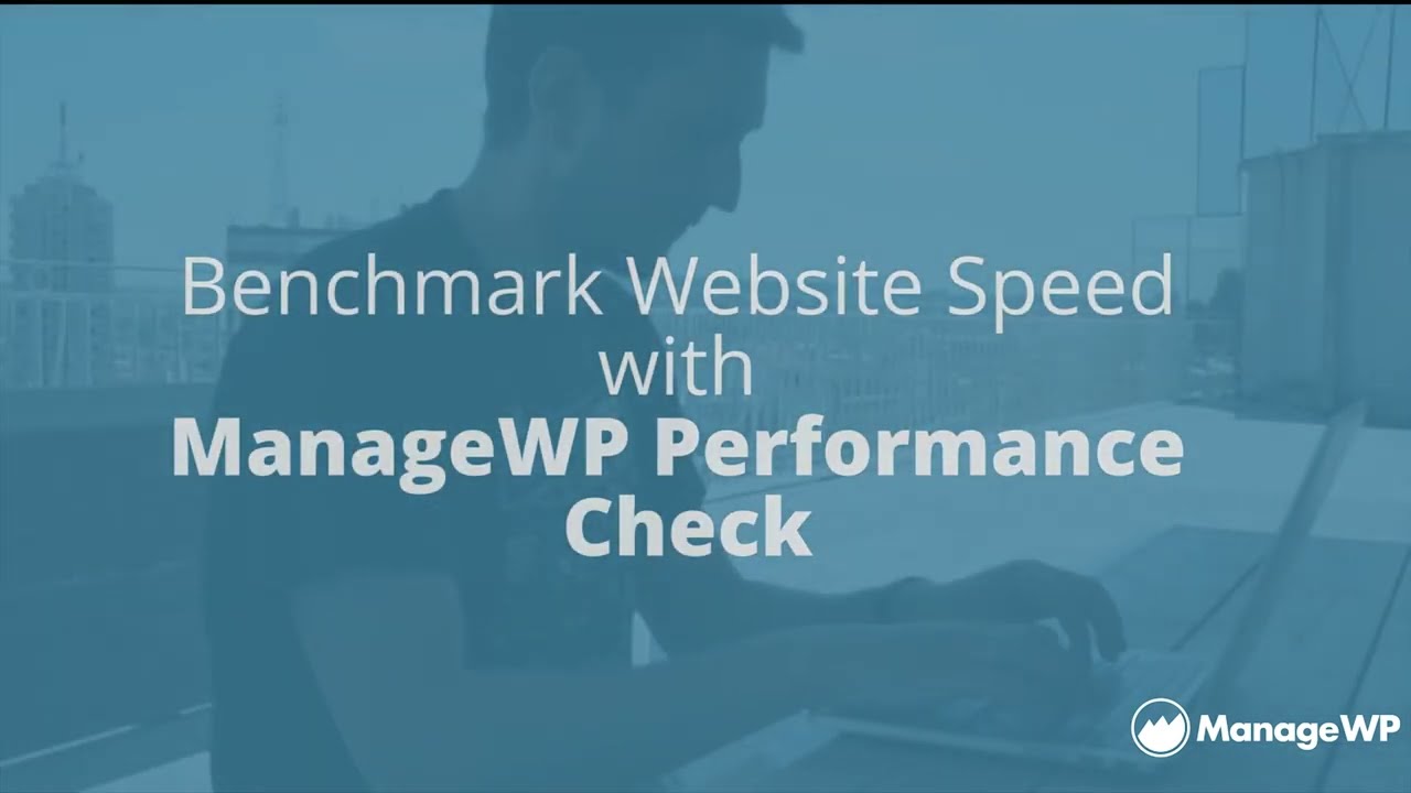 How to Check Your WordPress Website Performance with ManageWP