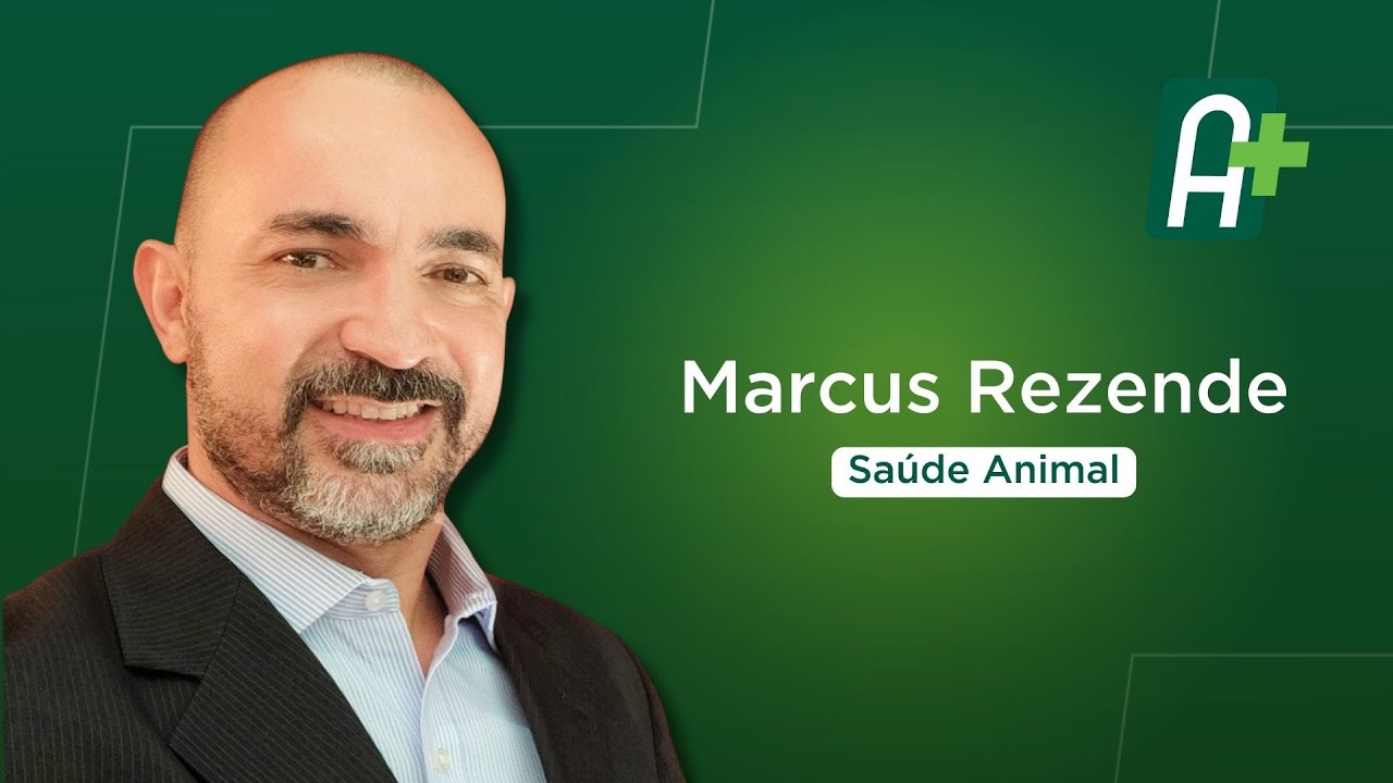 É necessário dar atenção aos sintomas da Raiva Bovina
