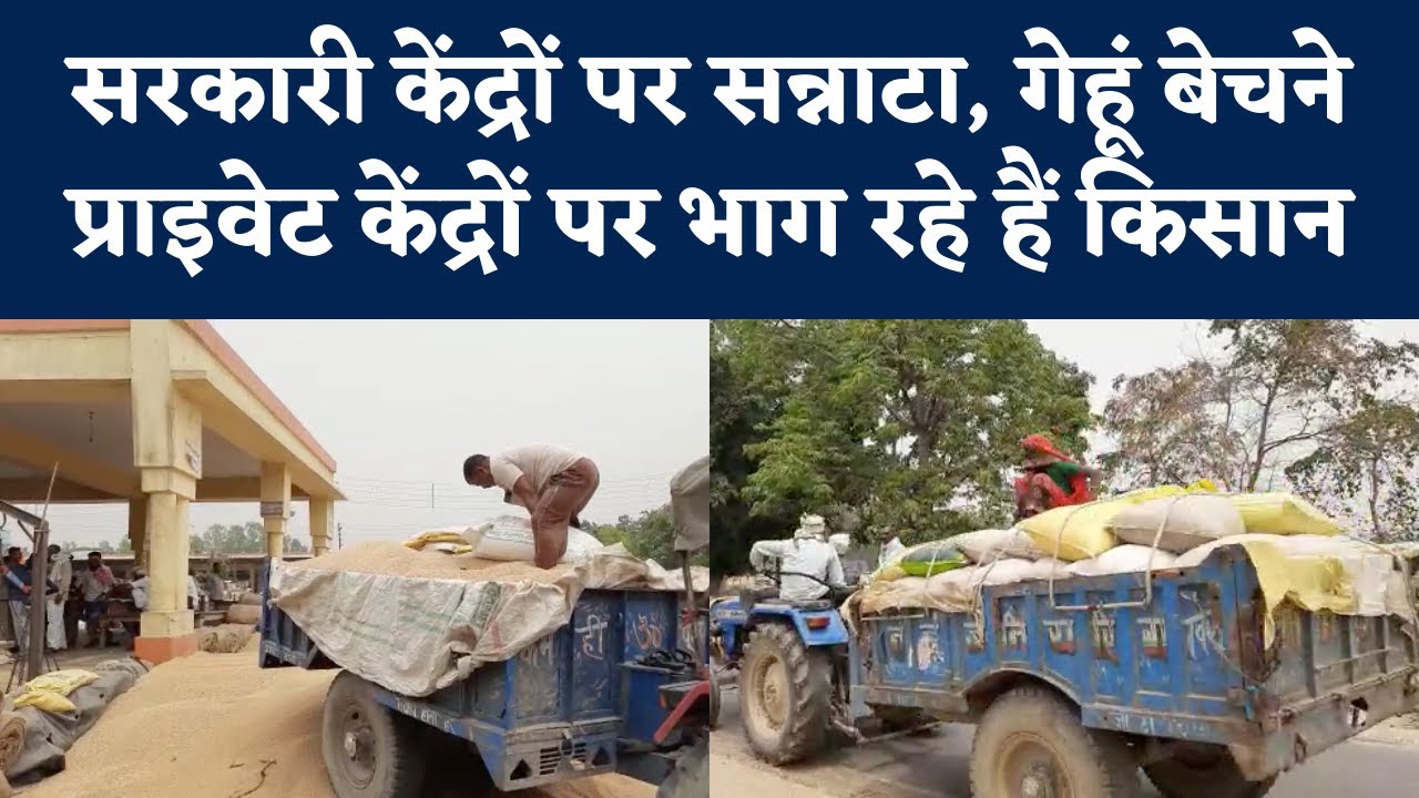 Kasganj Wheat Farmers: गेहूं बेचने के लिए खुले बाजार की ओर भाग रहे किसान, MSP का नाम भी नहीं ले रहे