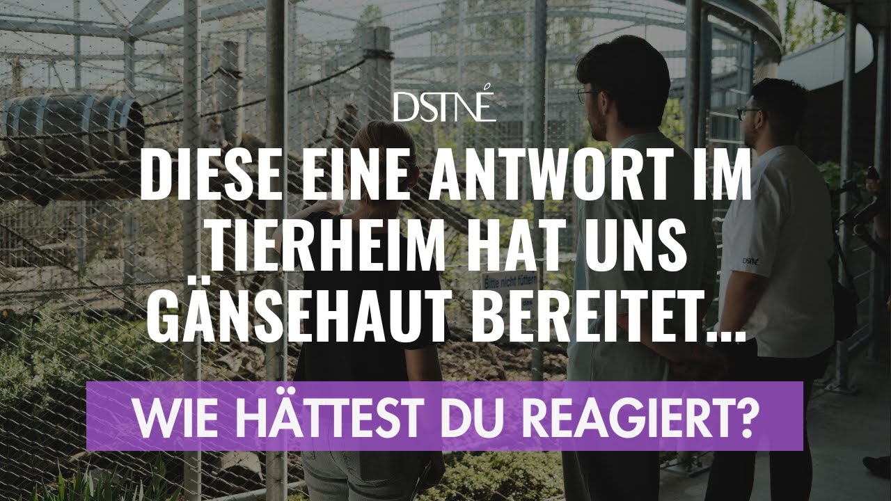DIESE FRAGE hat uns ALLE zum Nachdenken gebracht – Tierheim Berlin 🐾 | Destinée Clothing Part 2