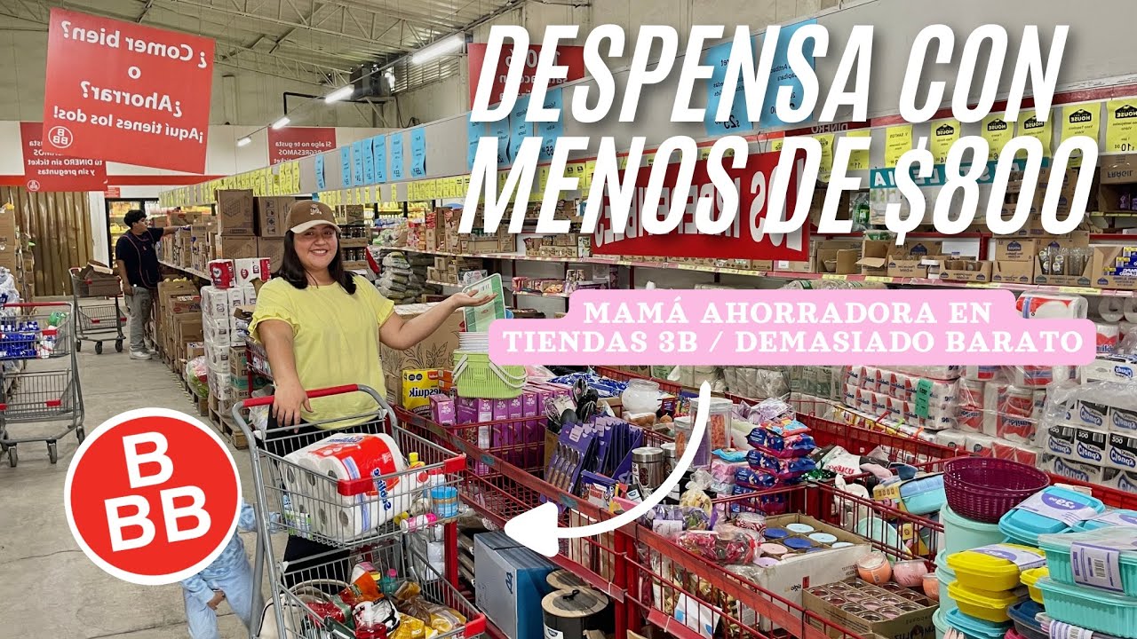 TODO ESTO COMPRÉ POR MENOS DE $800 EN TIENDA 3B✅ MI DESPENSA SEMANAL‼️