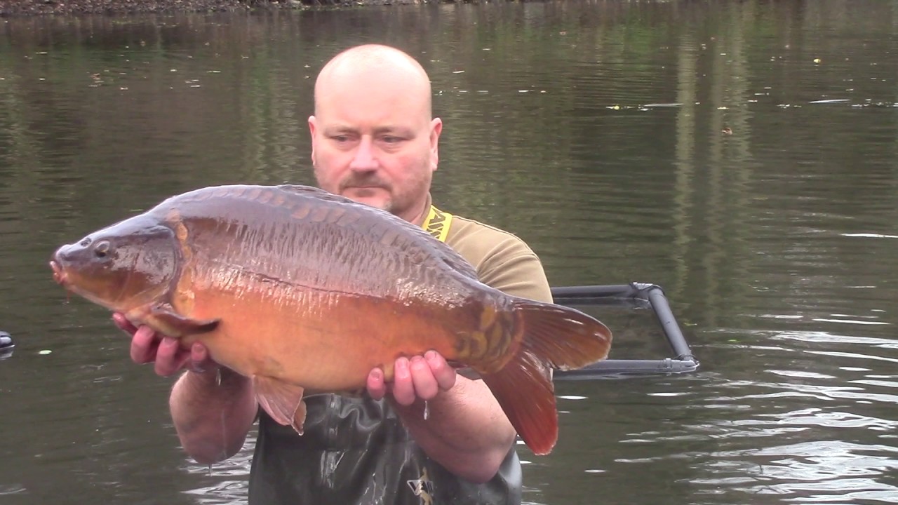 Churchwood Fisheries Netting 2016