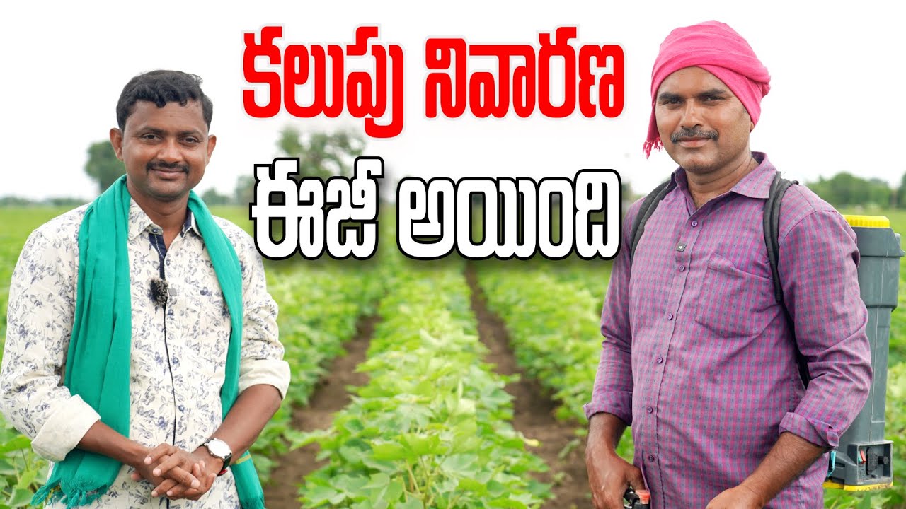 పత్తి సాగులో కలుపు నివారణ ఈజీ అయింది | UPL Sweep Power