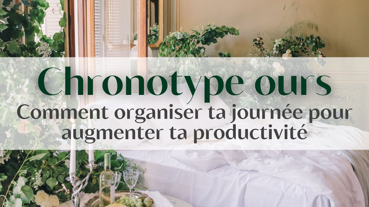 Chronotype OURS 🐻 : ADAPTE ton HORAIRE et BOOSTE ta PRODUCTIVITÉ ⚡️