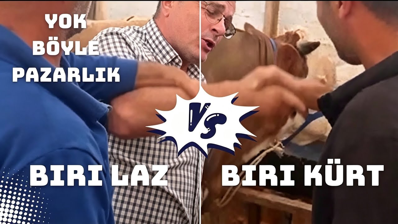 Biri Laz Biri Kùrt | Aman Allah'ım | 2025 Kurbanlık Fiyatları