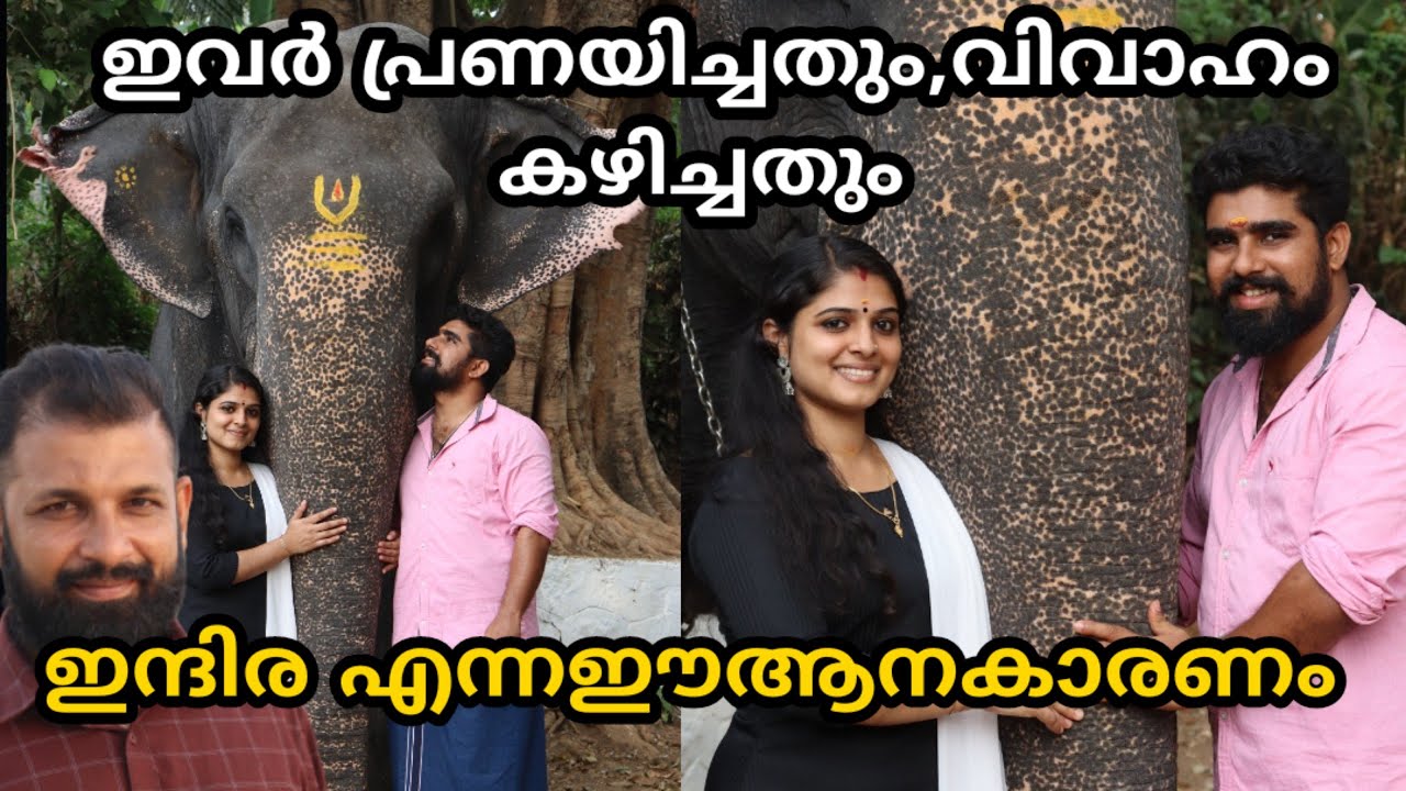 ആനയോടുള്ള ഇഷ്ടം ഇവർ രണ്ടുപേരേയും❤❤ പ്രേമത്തിൽലാക്കി ഒടുവിൽ വിവാഹം Lakkidi Indira Kerala Elephant