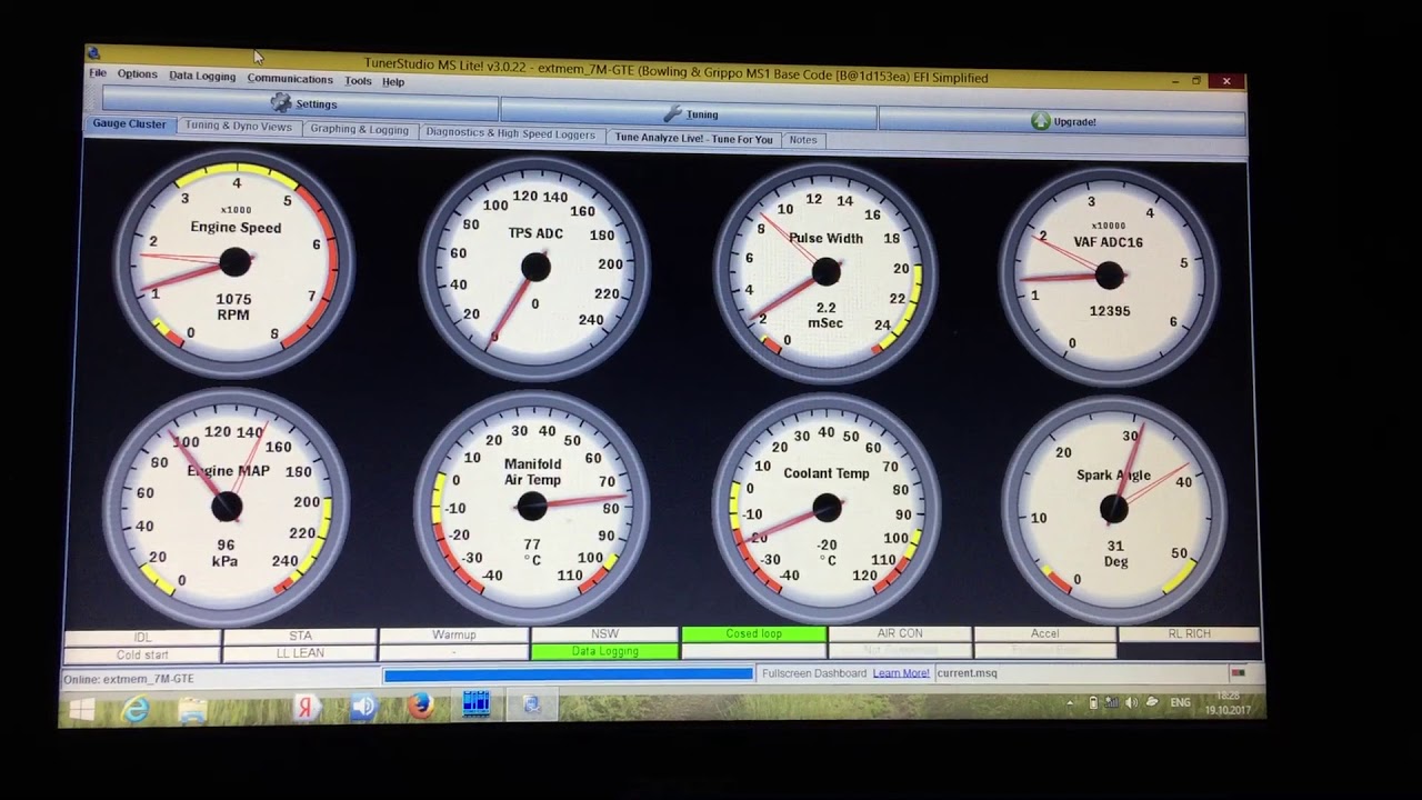Mentat's External Memory Module Online (MEMO) test