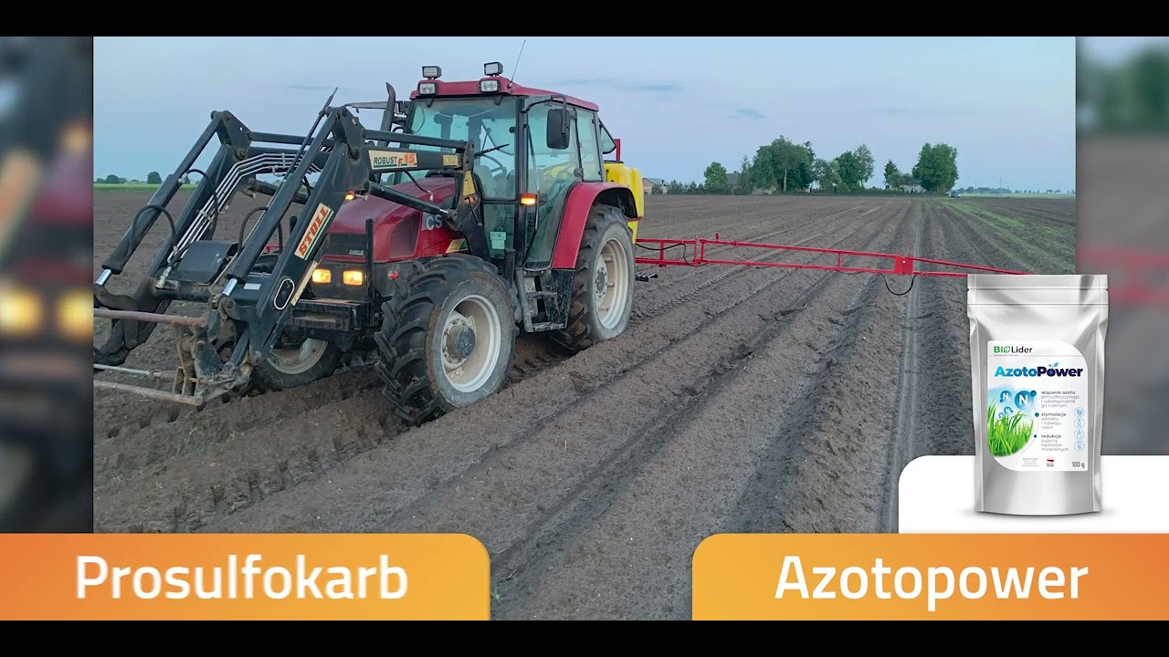 PROCAM Alert z plantacji ziemniak&oacute;w jadalnych.