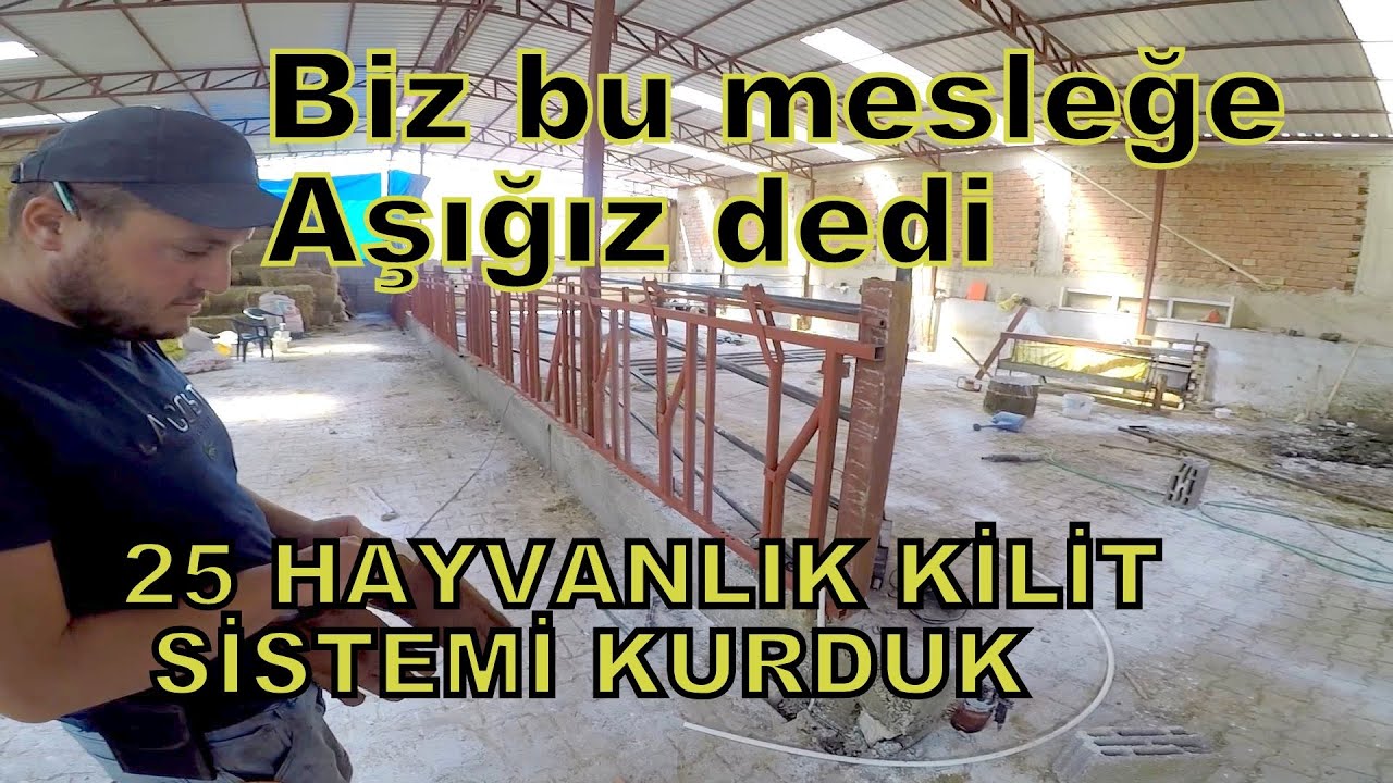 25 ADET OTOMATİK KİLİT SİSTEMİ YAPTIRDIK  #inek #süt #çiftlik #boğa #besicilik #köy #çiftçi #uşak