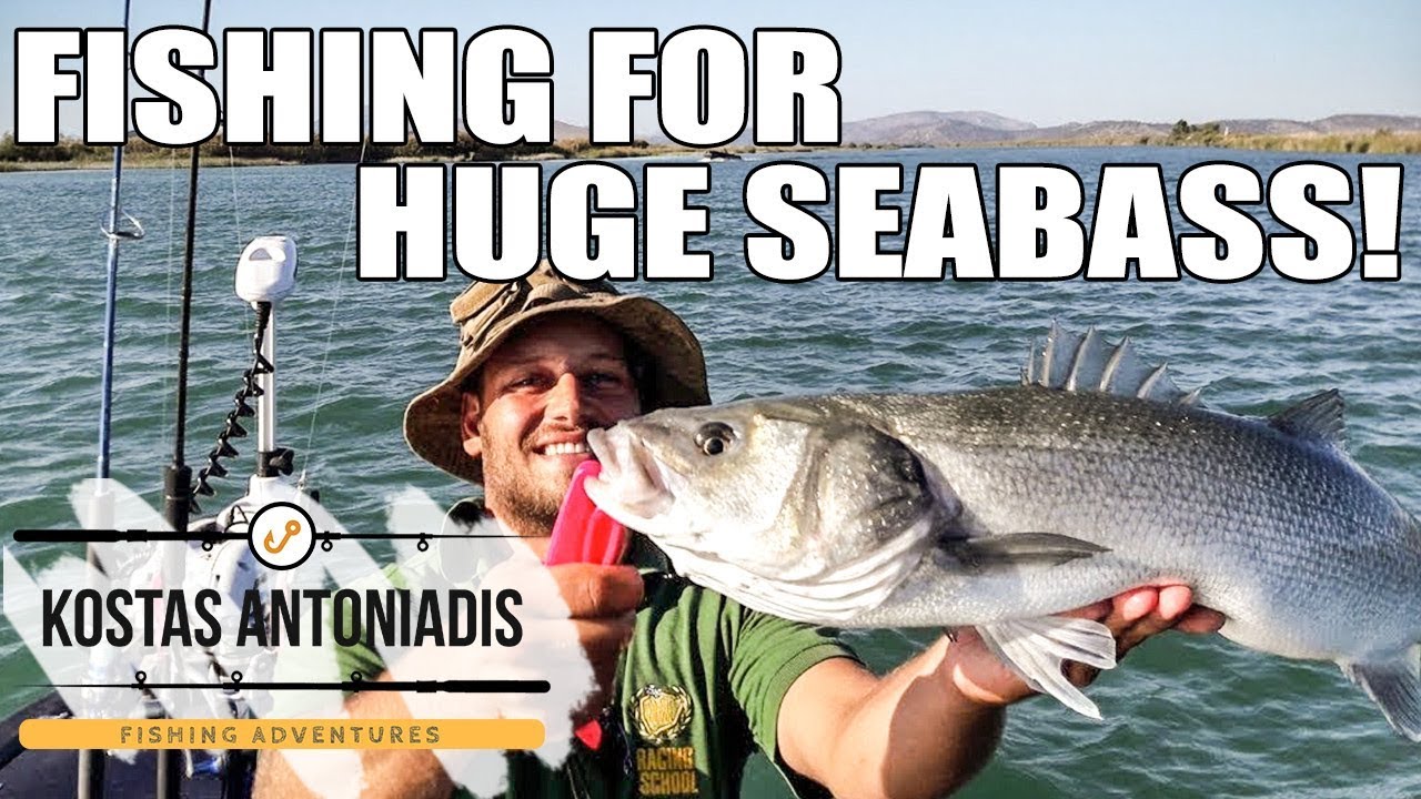 Spinning for HUGE Seabass! Fishing in Greece by KA