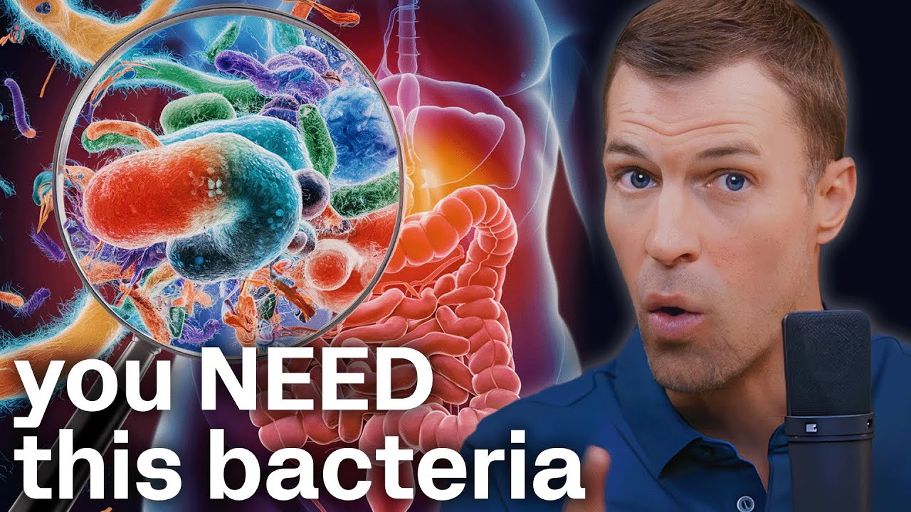 The #1 Supplement to Heal Your Gut, Burn Fat, and Boost Immunity