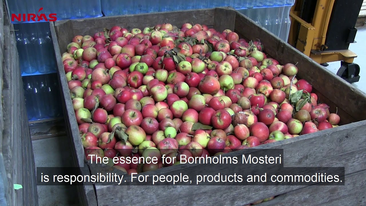 NIRAS helps Danish juice factory Bornholms Mosteri become more sustainable