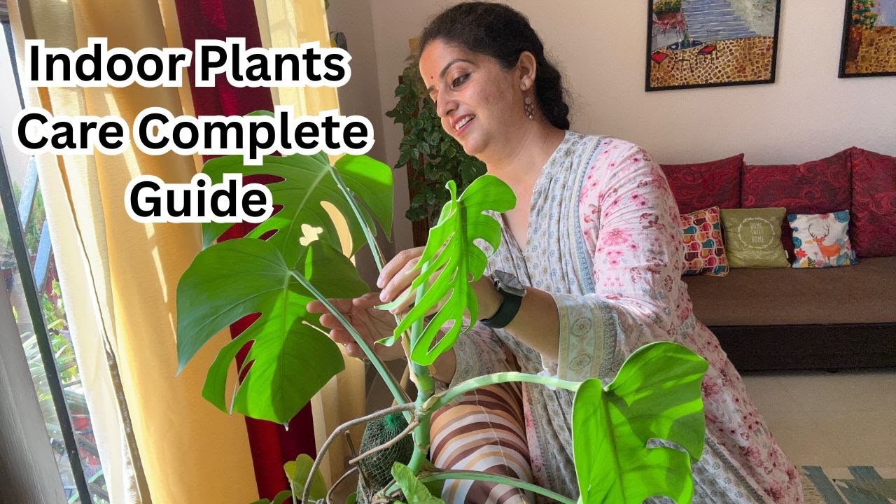 🟣Complete Indoor Plants Guide for Indian Homes | Best Low-Maintenance Plants & Care Tips!
