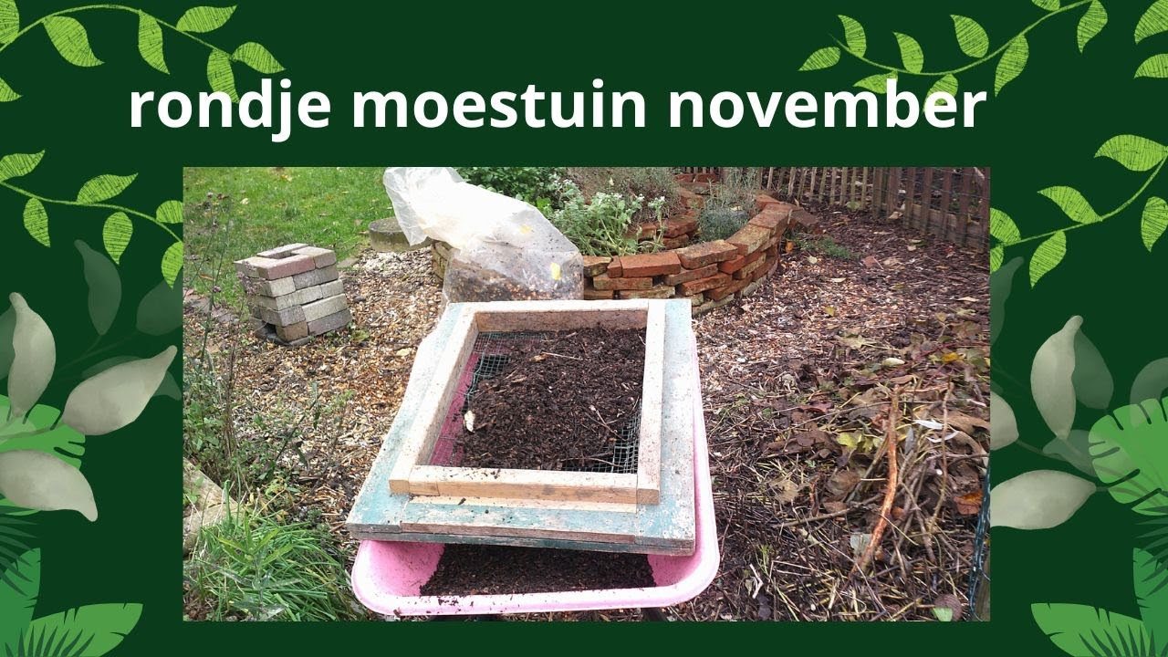 Moestuin november | knoflook poten | winterklaar maken