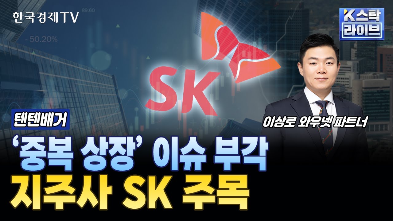 '중복 상장' 이슈 부각...지주사 SK 주목ㅣ#지주사 #SK