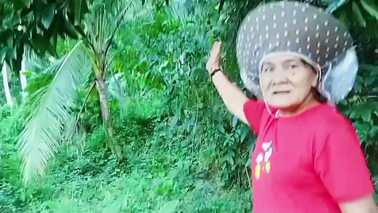 Almost 2 hectares Mataganas, Biliran...