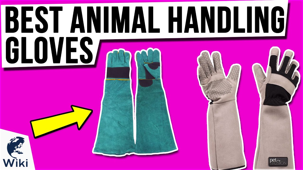 8 Best Animal Handling Gloves 2021