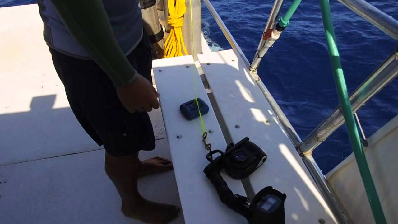 Diving with a camera