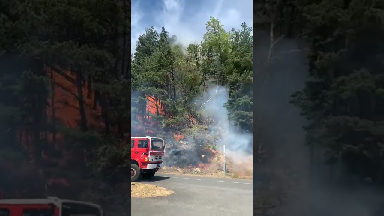 LES POMPIERS UTILISENT UN CANADAIR POUR CET INCENDIE #bspp #pompier #pompiers #incendies #remiragnar