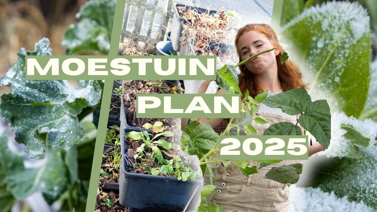 Moestuin planning voor 2025 | Hoe plan je dat?