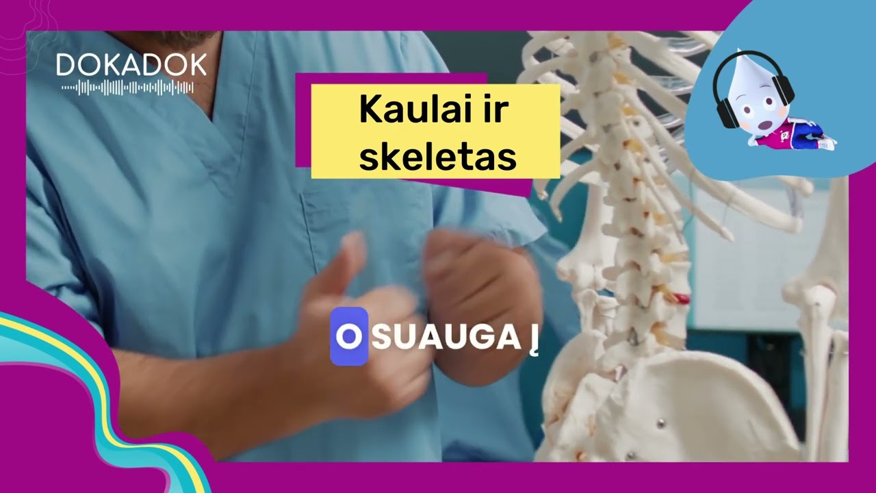 Kodėl mes nesubyram? Apie kaulus ir skeletą