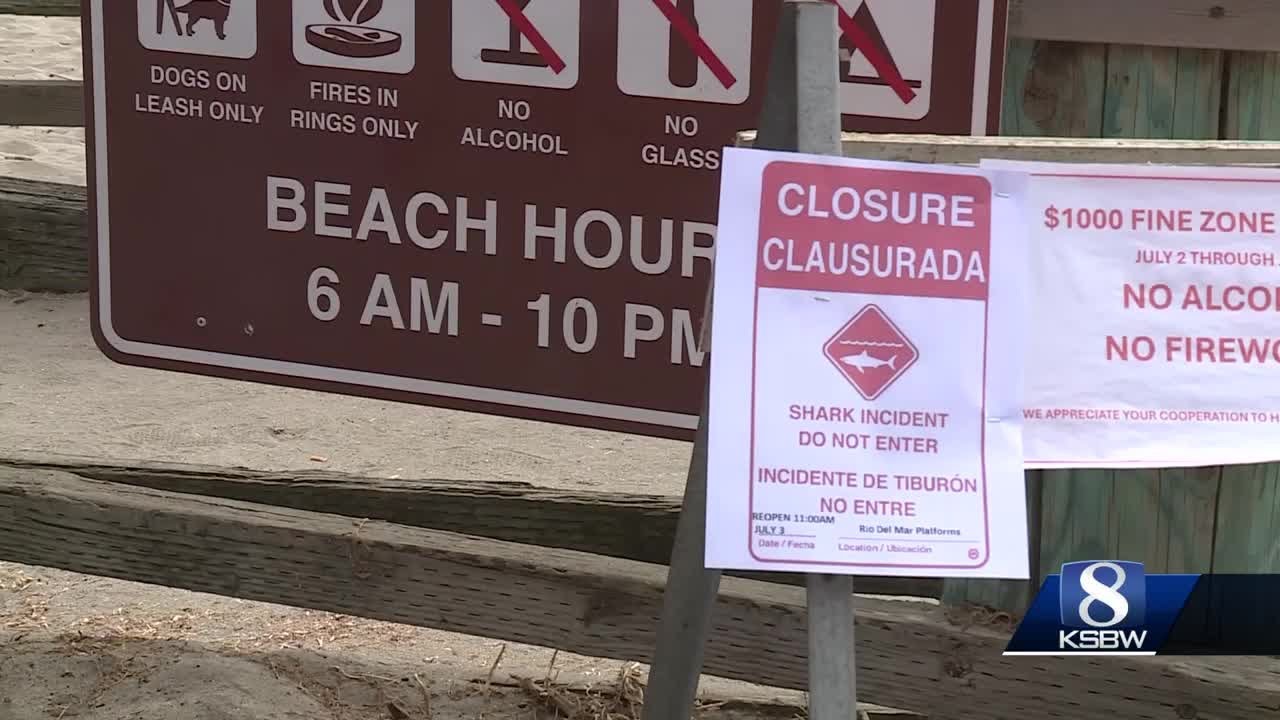 Shark encounter during junior lifeguard event closes Rio Del Mar beach