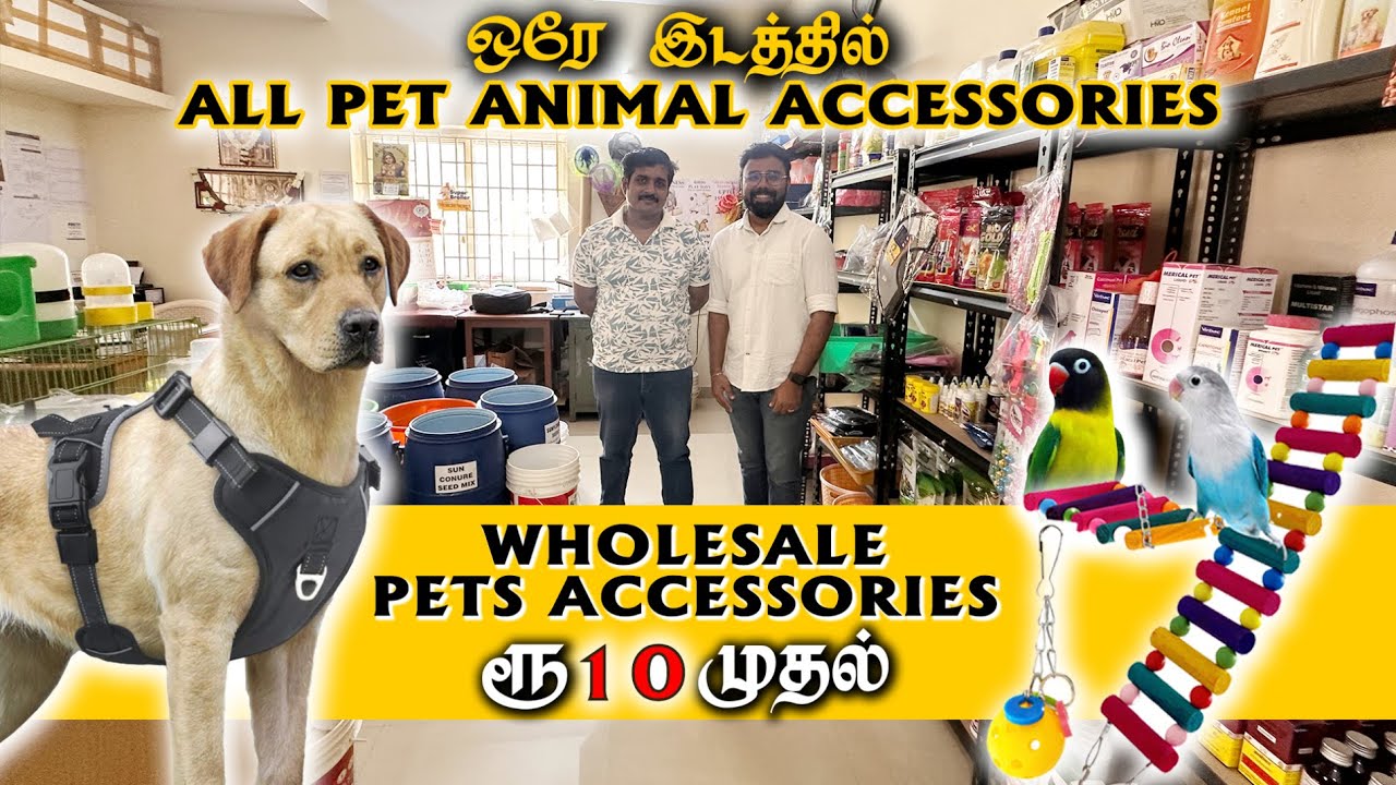 Coimbatore Pet Animals Wholesale Accessories and Supplements ரூ10 முதல் Cash on Delivery
