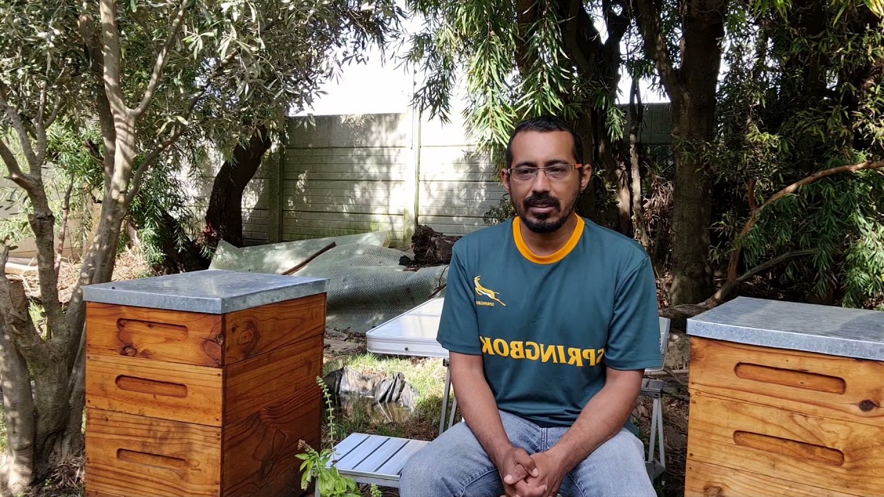 Suburban beekeeping in South Africa Q&A - Episode 2